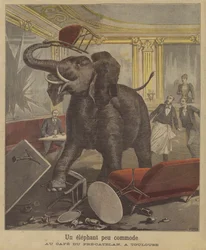 An Elephant on the Rampage in a Toulouse Cafe